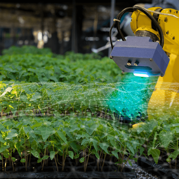 Grant Opportunities: