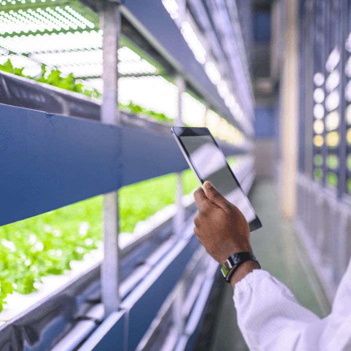 Grant Opportunities: