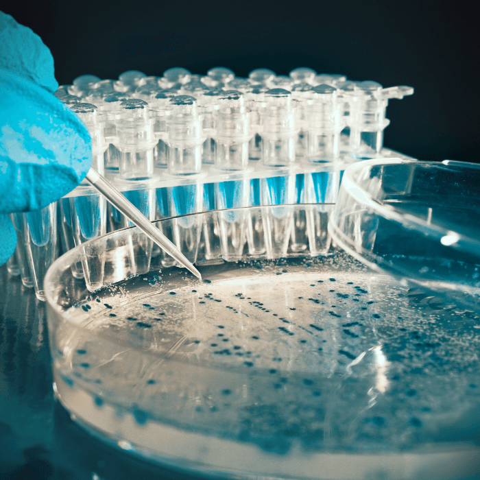 Grant Funding for UK Biotech