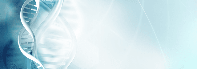 Biomedical Catalyst 2025